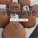 (주)제이푸드코리아 | 난각번호 1번 계란, 목초먹인 자연을담은 방사유정란 솔직후기 (주)푸드코리아