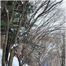 회덕마을 입구 | 2월 가볼만한곳 대전 회덕 동춘당