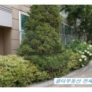 한화꿈에그린 아파트 정문 앞 이미지