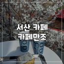 4631 | 서산 벚꽃 명소 중왕리 벚꽃길 카페 만조 개화시기 4/11 실시간 만개 현황 포토존