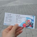정동진가볼만한곳 정동진여행 레일바이크 예약, 금액, 애견동반 가능(대당 한마리), 정동진 당일치기코스