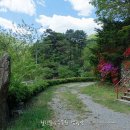 수목원캠핑장 이미지