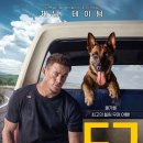 도그도그 이미지