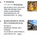 (주)마이제주투어 | 제주 벤츠 투어<마이리얼트립-홍투어> 내돈내산 추천 후기