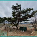 학성농장 이미지