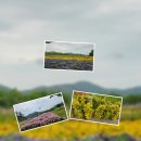 송가인공원 이미지