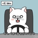 맹드라이브운전면허 - 고양시 일산서구 주화로 88 | 맹드라이브운전면허