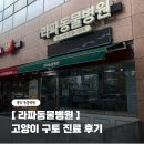 토베스트 동물병원 | 봉담동물병원 라파동물병원 고양이 진료 후기, 고양이 스케일링 상담