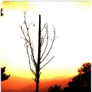 남한산성 청와정 펜션 이미지