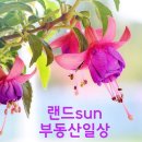 신공항종합광고 | 실무교육 후기