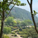 용화산양통마을 | 강아지랑 통영 1박 2일 여행 코스 + 애견 동반 지도 드려요