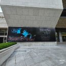 세종문화회관 해리포터 혼혈왕자 필름콘서트 후기 1층 B열 8, 9 시야