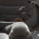 꿀단지부동산중개 이미지