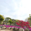 무주 약속정원 수목원&amp;카페 비온뒤에 방문 후기 부모님이랑 가기 좋은곳🌳