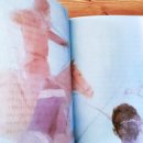 여경 | [책] '몽유도원도', 최인호 소설 <여경, 아랑, 도미> 이야기를 읽은 후기