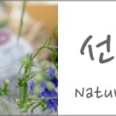 남구-073 이미지