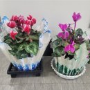 침산문화회관 이미지