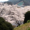 추풍령휴게소(부산방향) 이미지