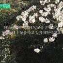 네번째 계절 네이버블로그