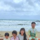 사계절팬션민박 이미지