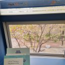 보랏빛꿈작은도서관 | 도서관이 멀다면 가까운 우리동네 작은도서관 이용하기! 김천 작은도서관 보랏빛꿈작은도서관