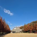 평화대여소 이미지