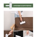 스윗펫 이미지