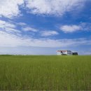 제주 하얀집 이미지