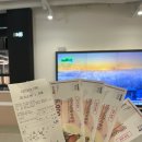 정선 가리왕산 케이블카 | [정선] 강원도 정선여행 ‘가리왕산 케이블카’ 방문후기