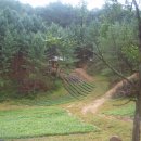 영문2리 이미지