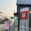 북한강 애견카페 애견운동장 코니아일랜드 다녀온 후기🐶
