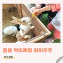 울타리화원 - 중구 퇴계로 217 | 대구 아기랑 갈만한곳 하이주주! 동물 먹이주기 체험 물놀이 실내 나들이