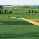 평화바람