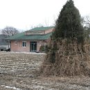 송촌2리 마을회관 이미지