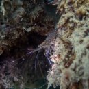 남해-272 이미지