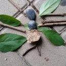 별나라유치원 이미지