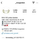라이스가든 이미지