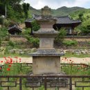 성곡리농로 이미지