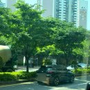 성주경북약국 | [20240520~26] : 살~짝 괜찮아져서 다시 알콜 충전!