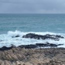 관성2농장 이미지