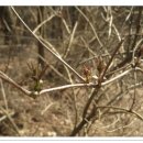 산속농원 이미지