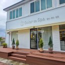 향기나는숲에스테틱향림 | 제주 노형동 미용실 새치염색 잘하는 곳 컬러드스파 제주노형점