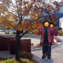 한밭대안경원 이미지