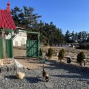 강릉초이 이미지