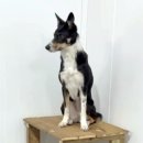 포우농장 이미지