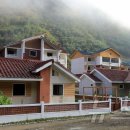 자성농장 이미지