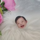 체스넛주 이미지