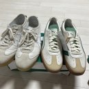 딥포레스트 이미지