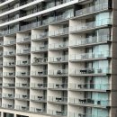 거목빌딩 | 시드니 여행 시티투어 코스 NSW 주립도서관 하이드파크 세인트메리대성당