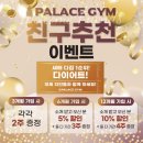 팰리스짐 이미지